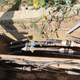 Image for article titled Who Is Sabotaging France's Fiber Optic Cables?